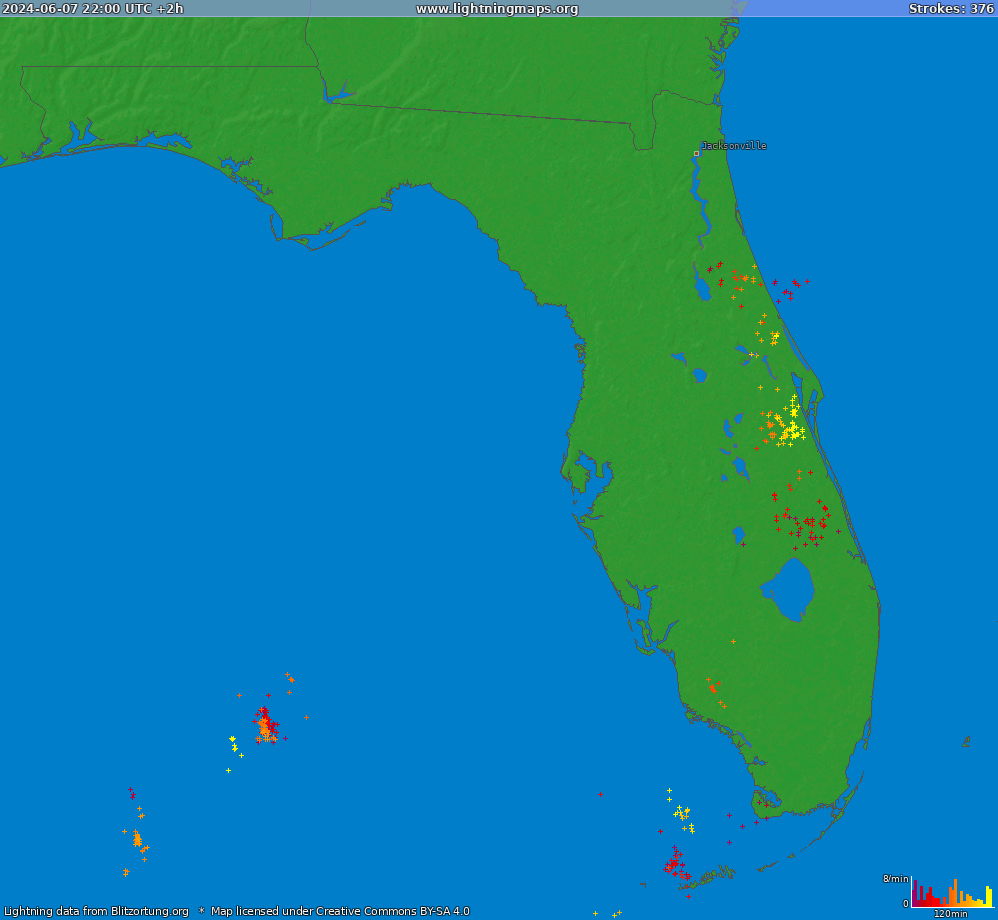 Bliksem kaart Florida (Big) 08.06.2024 (Animatie)