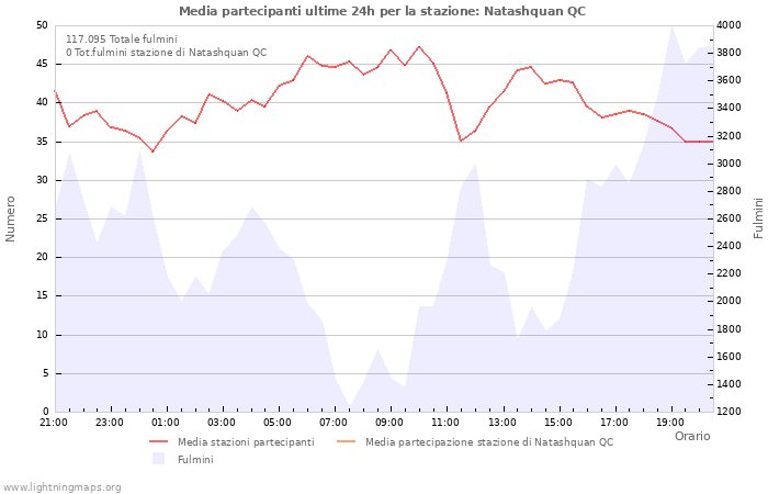 Grafico