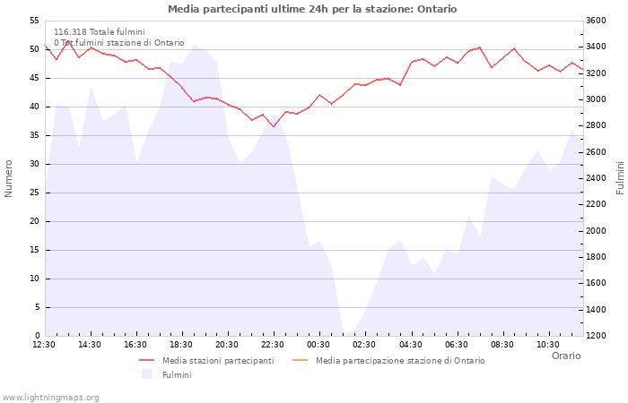 Grafico