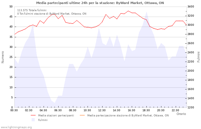 Grafico