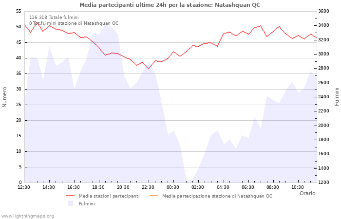 Grafico