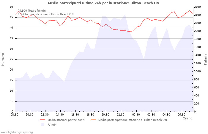 Grafico