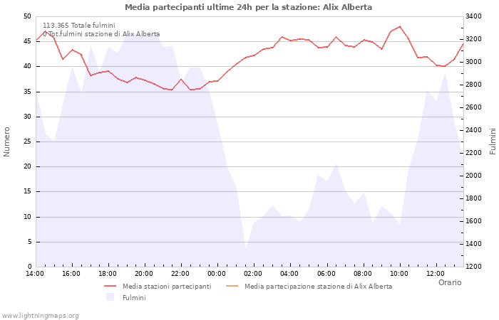 Grafico