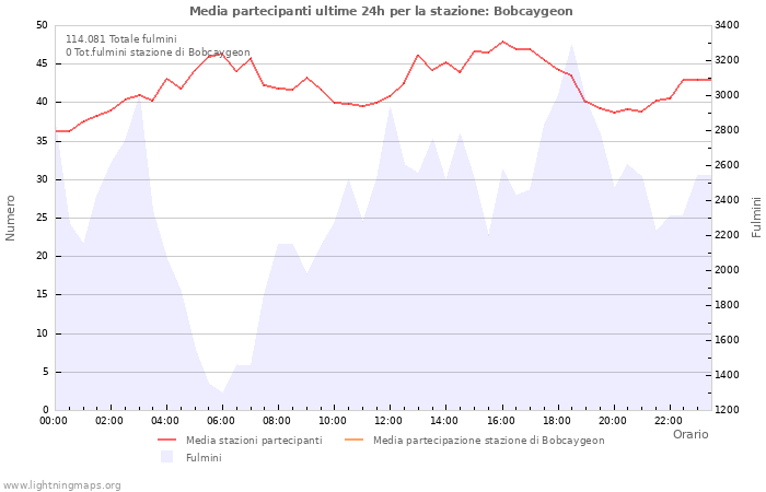 Grafico