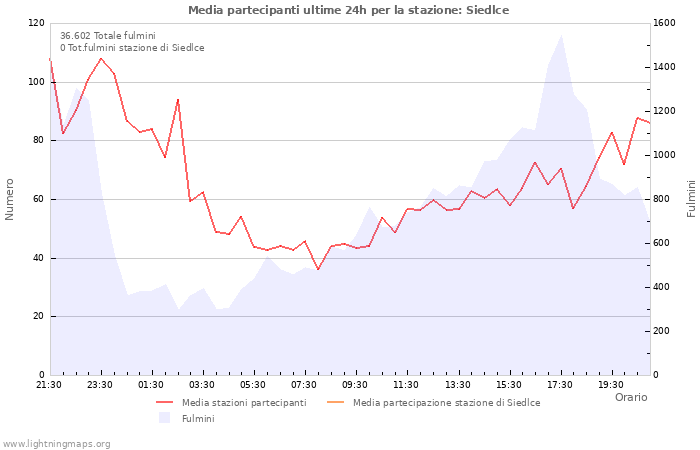 Grafico